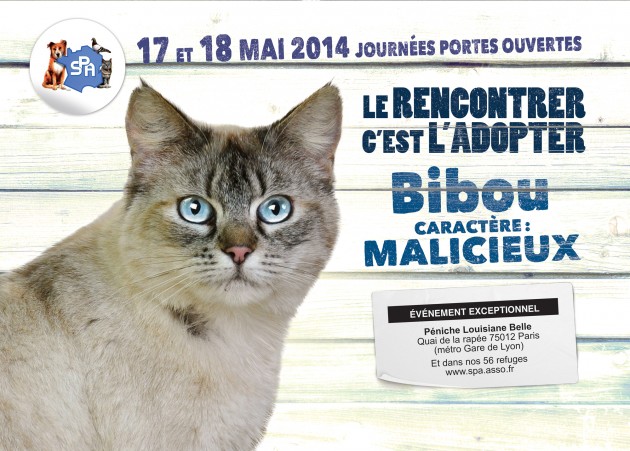 rencontre animaux domestiques